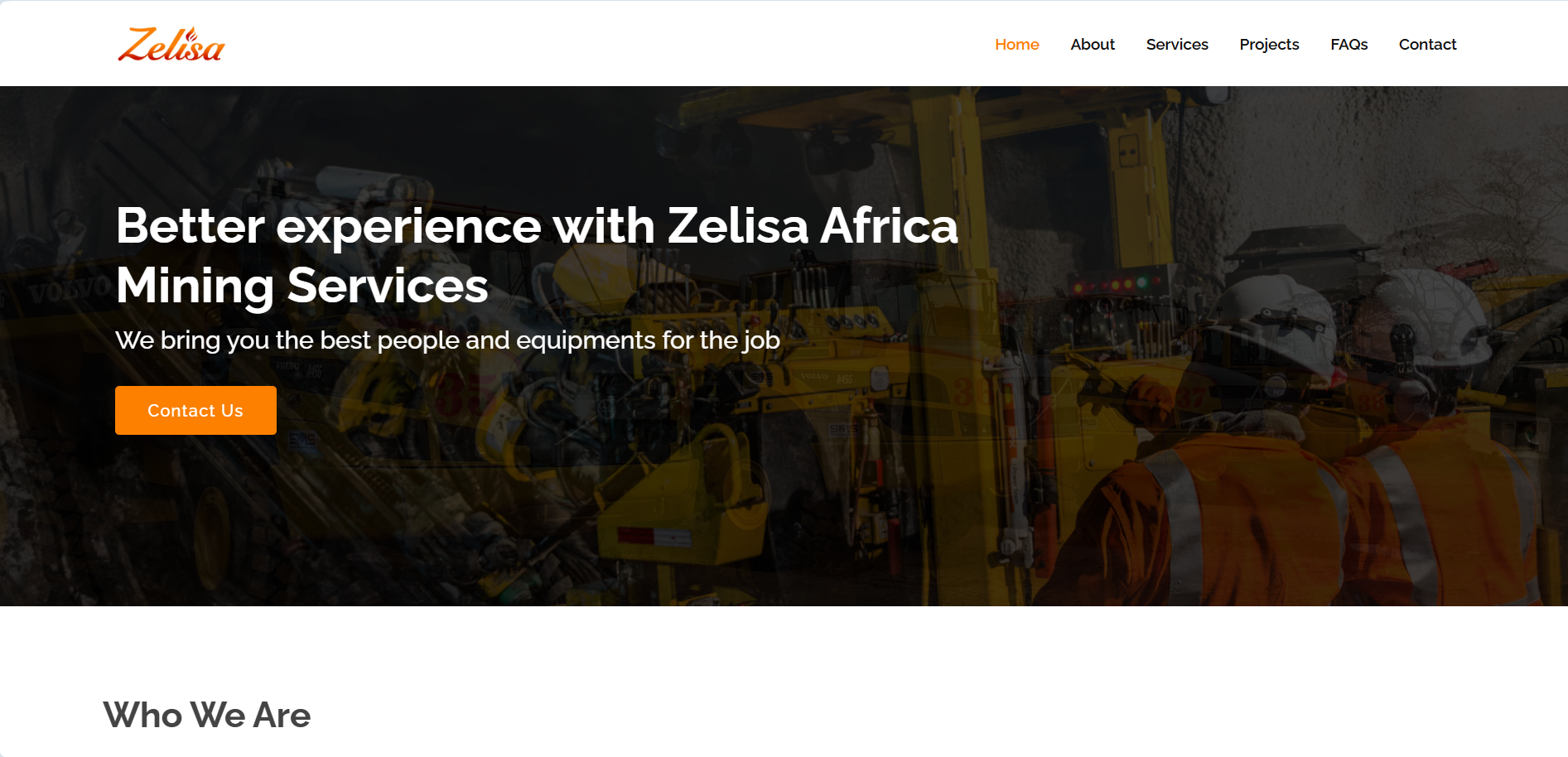 ZELISA Company Website